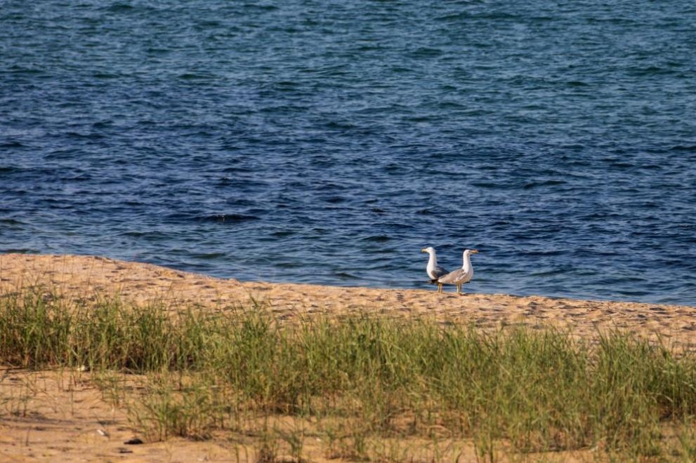 Министерството на околната среда и водите МОСВ осигурява редовно наблюдение