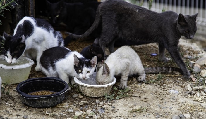 Глоба от 120 000 евро беше наложена на 76 годишен мъж