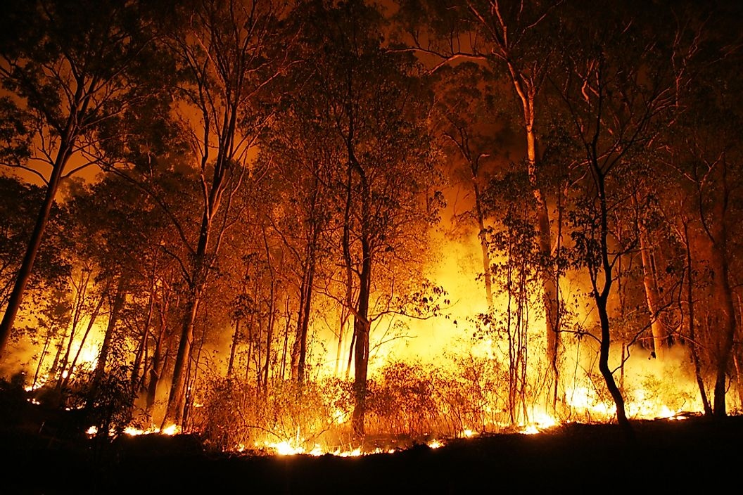 Италия изпрати пожарникари да помагат за гасенето на горските пожари