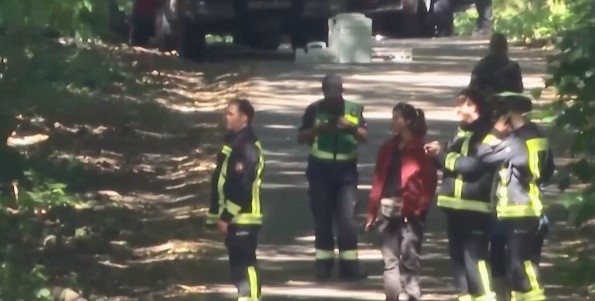 Второ денонощие продължава издирването на мистериозната лъвица в Берлин Властите