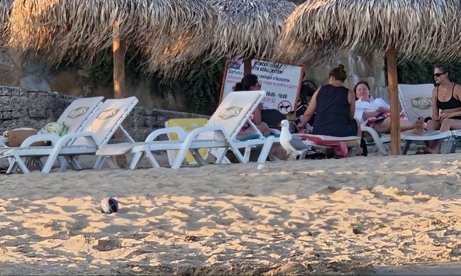 Сдружение на туроператорите и туристическите агенти Обединение Бъдеще за туризма