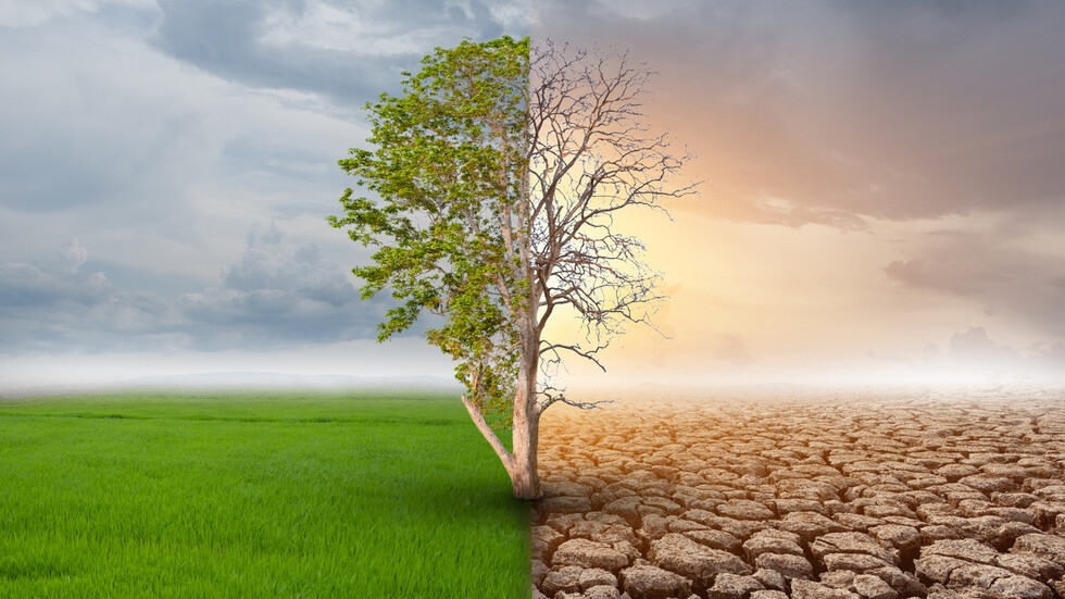 Световен недостиг на храна е възможен сценарий който чертаят климатичните