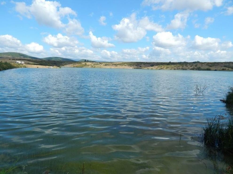 Намериха тялото и на другото дете удавило се във водите