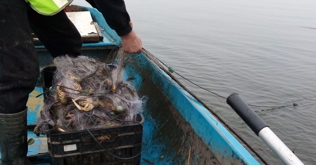 България е напът да загуби над 80 млн лв по