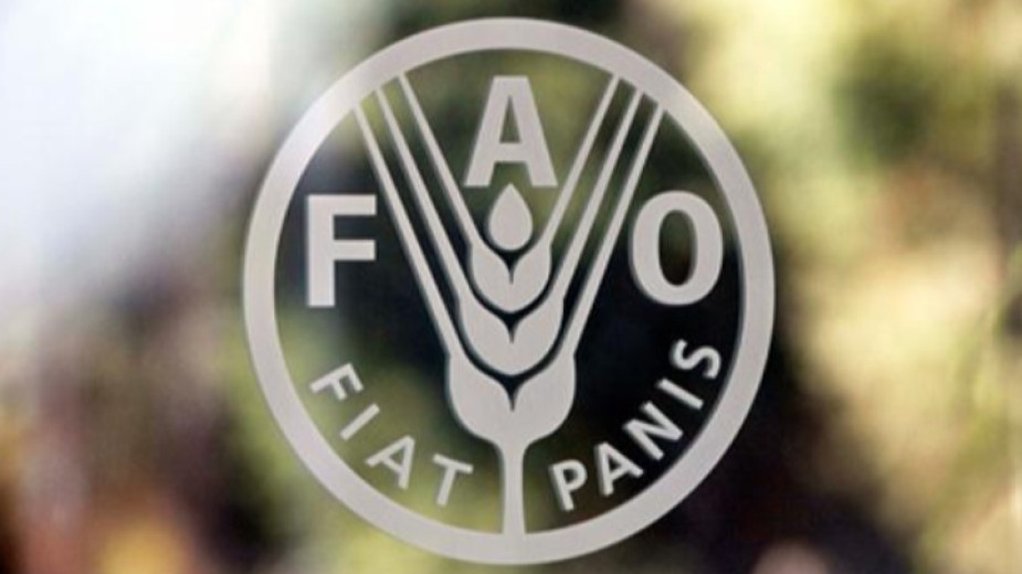 Храните поскъпват в световен мащаб Индексът на световните цени на