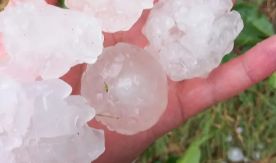 Бури обхванаха части от Източна България Ураганен вятър и градушки