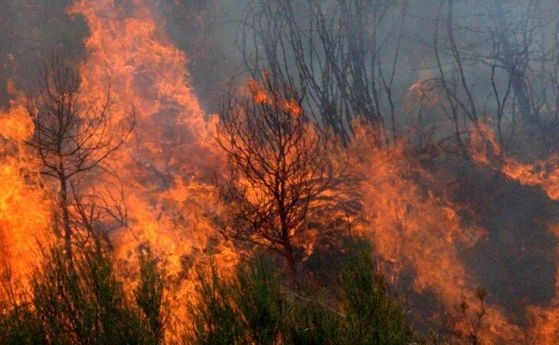 Затворен за движение е пътят между Петрич и Сандански при