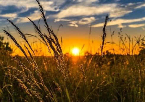 Днес ще бъде предимно слънчево след обяд над планините в