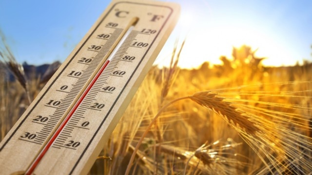 През цялата следваща седмица ще бъде топло Максималните температури ще