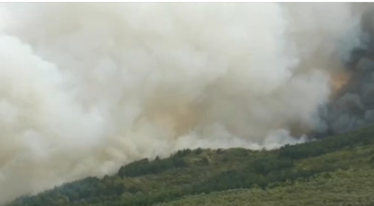 Пожар гори край бургаското село Изворище. Огънят е обхванал смесена