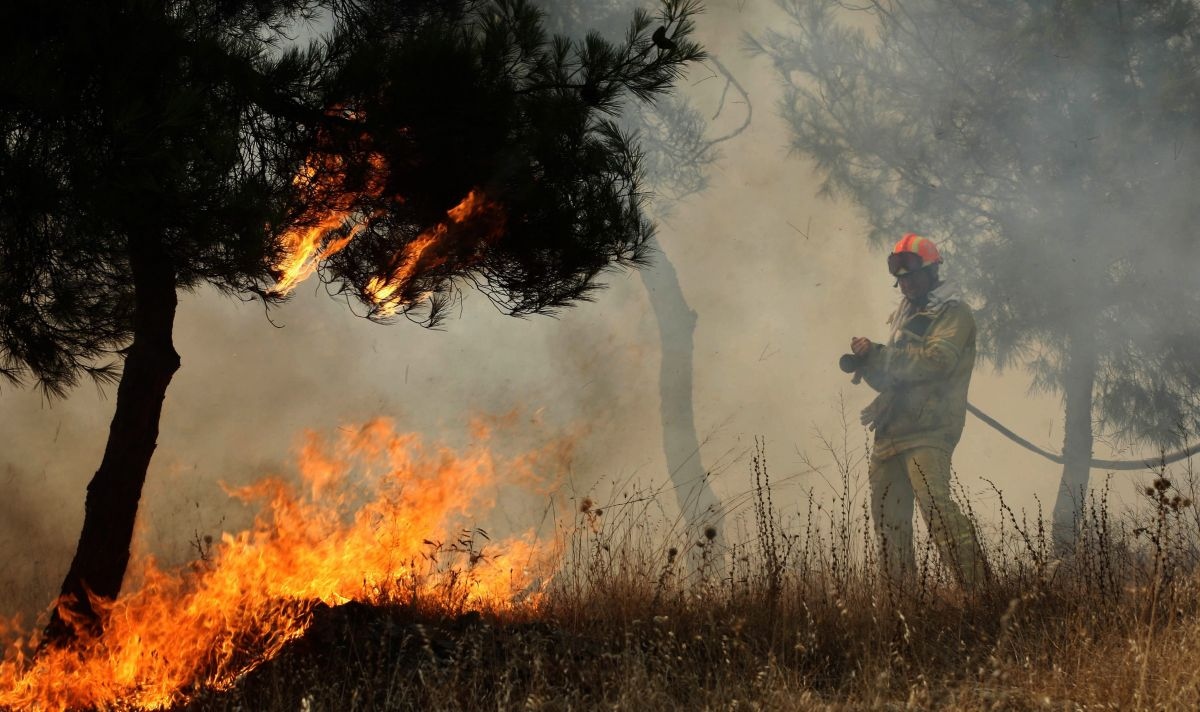 Големи горски пожари бушуват в четири турски окръга предава турската