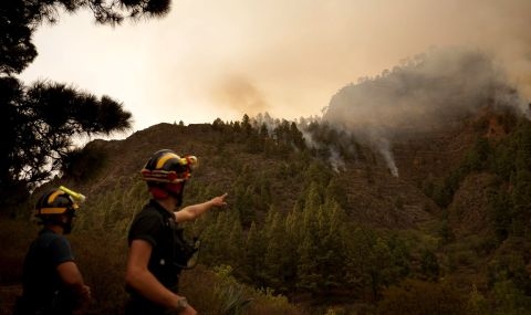 На остров Тенерифе в Испания възникна голям горски пожар, който