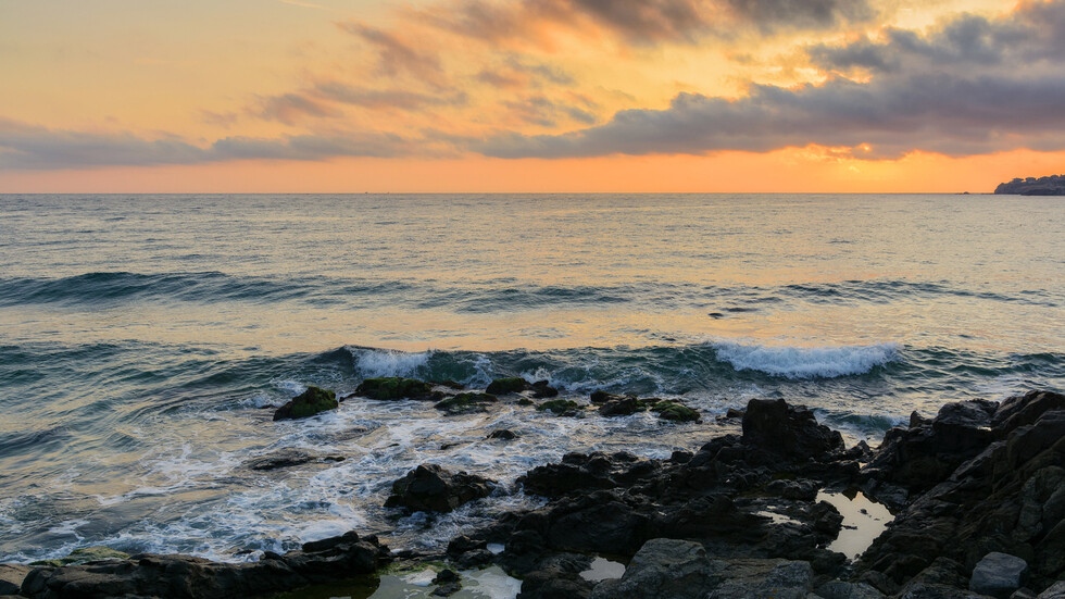 За открити тела на двама мъже на плажа и в