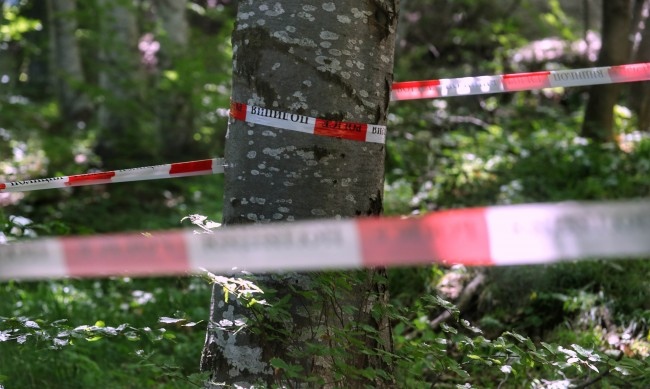 Аутопсията на Алексей Петров и резултатите от нея са приключили