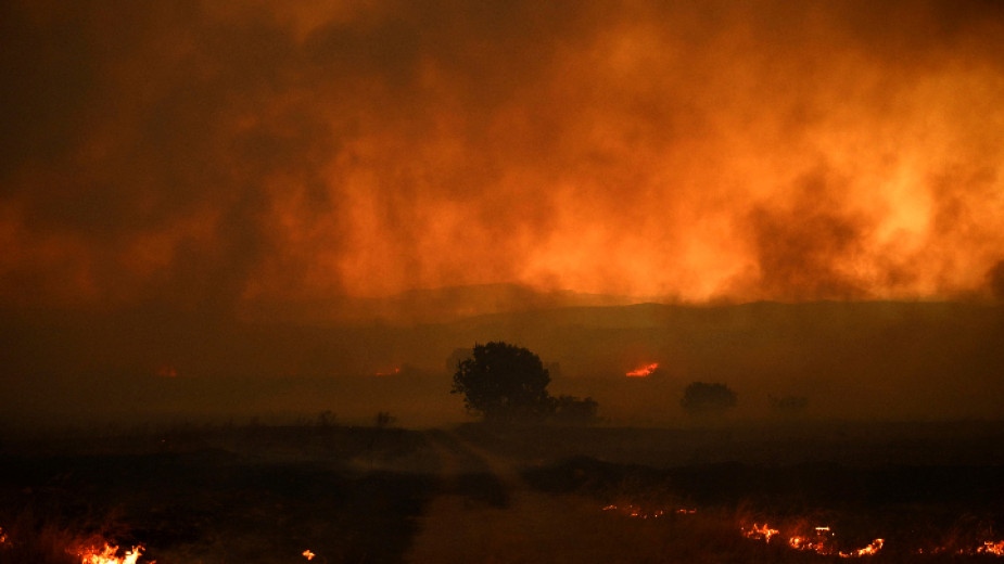 Вероятно нелегални мигранти са станали жертви на пожара в гръцката