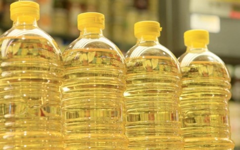 Производителите на олио предупреждават за фалити в сектора Причината