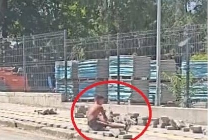 Държавната агенция за закрила на детето ДАЗД се самосезира по повод публикуваното