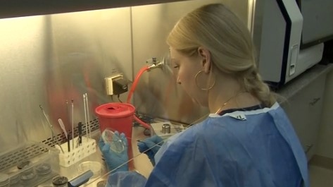 Окръжната санитарно епидемиологична станция в Жешув информира за още три смъртни