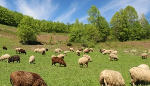 Във връзка с публикации в медиите за изпратено до министър председателя