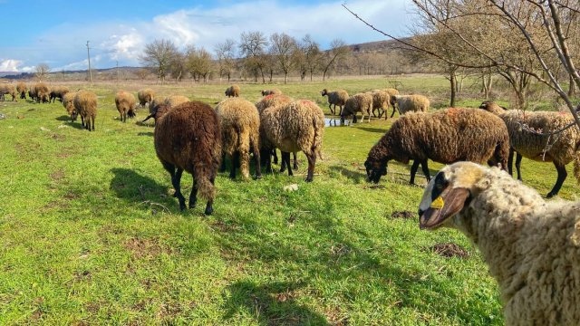 Висшият експертен екологичен съвет към Министерство на околната среда и