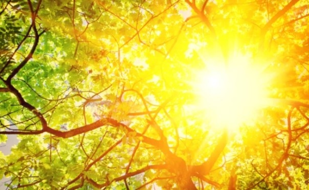 Днес ще бъде слънчево Ще духа слаб в Източна България