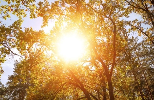 Днес ще е предимно слънчево Главно над източните райони ще