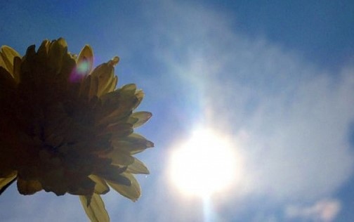 Днес ще бъде слънчево Преди обяд ще е почти тихо