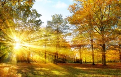 Днес ще бъде предимно слънчево но облачността от запад ще