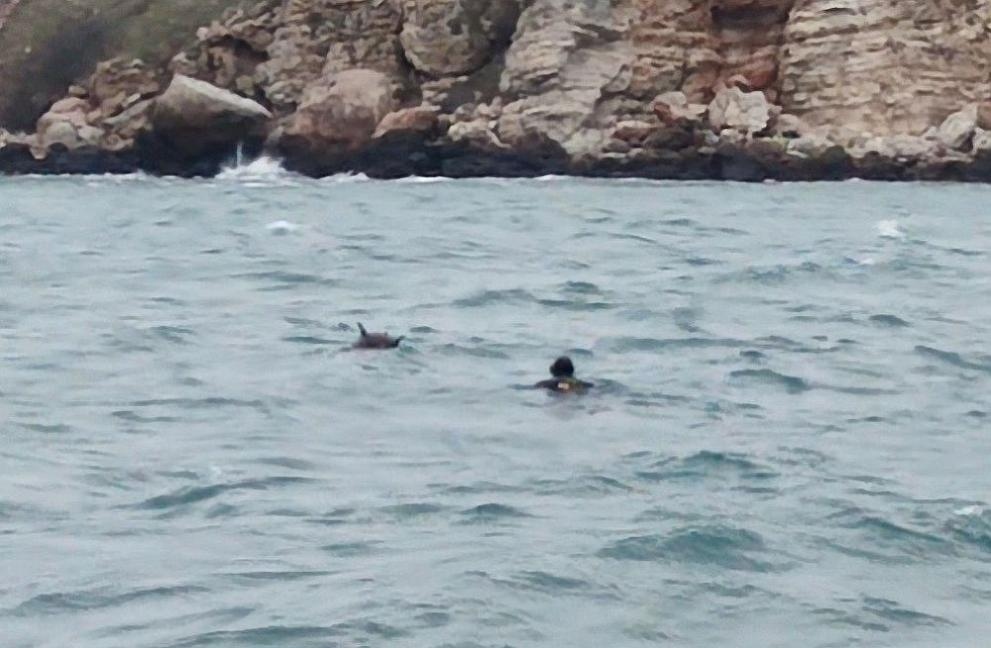 Военните специализирани части са взривили мината прикрепена към дрона открит