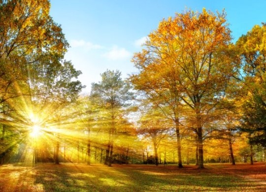 Днес ще бъде предимно слънчево След обяд над Западна България