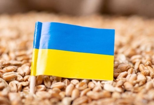 След отпадането на забраната за внос на зърно от Украйна