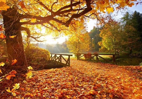 Тази година есенното равноденствие ще настъпи на 23 септември в