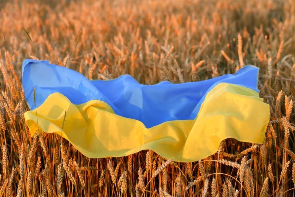 Земеделските стоки внасяни от Украйна в Европейския съюз отговарят на