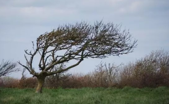 За вторник – 26 септември синоптиците обявиха предупреждение от първа
