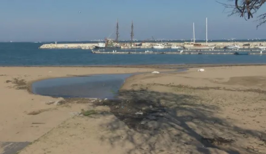 Специализиран екип от Военноморските сили изпълни задача по унищожаване на