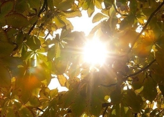 Днес ще преобладава слънчево време Ще духа до умерен главно