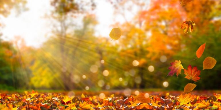 През деня облачността ще бъде разкъсана над планинските райони предимно