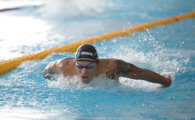 Управителният съвет на Българската федерация по плувни спортове взе единодушно
