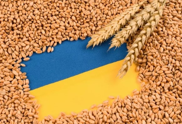 Украйна подписва резолюция за механизъм за проверка и одобрение на