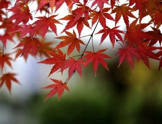 Днес облачността ще е разкъсана предимно значителна над Южна и