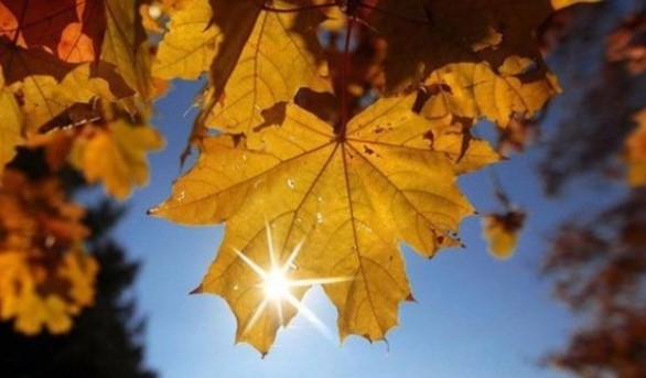 Днес ще е предимно слънчево с временни увеличения на облачността