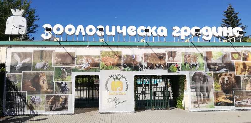 Фалшива страница на Софийската зоологическа градина се появи във Фейсбук