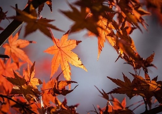 Днес облачността ще е променлива по значителна главно над планинските райони