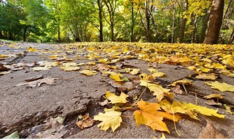 Днес минималните температури ще са от 7° до 11° в някои