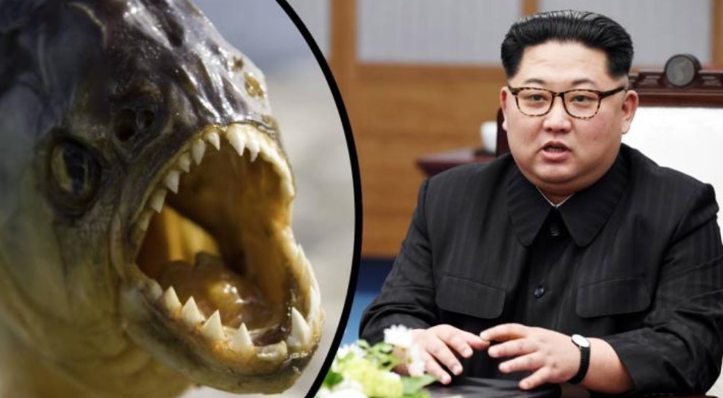 Севернокорейският лидер Ким Чен Ун е екзекутирал генерал като го