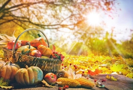 Втората половина на октомври идва с убийствено топло време Очакват ни