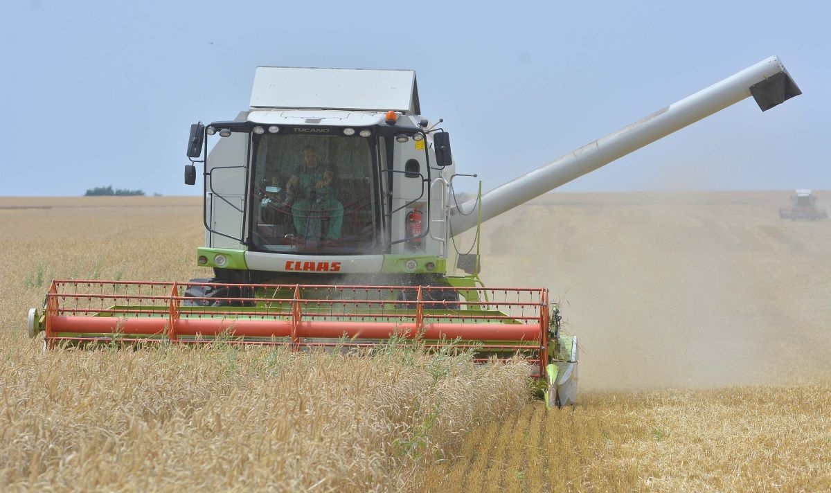 Средният размер на поземлените ренти у нас е сред най високите