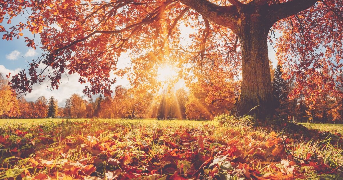 Предстоят три много топли дни малко се измести обстановката Днес