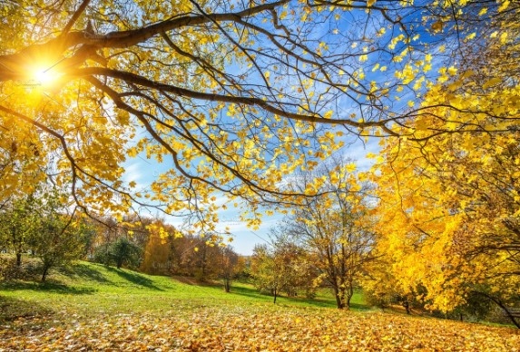 Днес ще бъде предимно слънчево В сутрешните часове на отделни