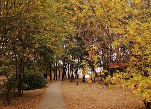 Днес ще се задържи топло Облачността над страната ще е